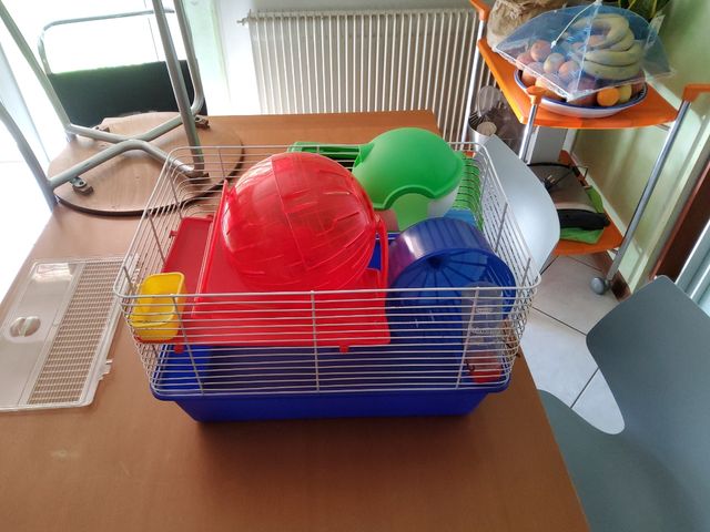 Gabbia criceto e accessori