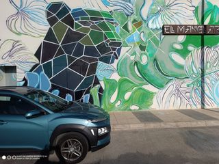 DIBUJO pared PINTOR mural GRAFITI art EMPAPELADO