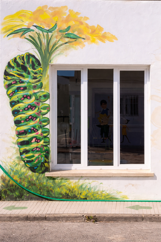 DIBUJO pared PINTOR mural GRAFITI art EMPAPELADO