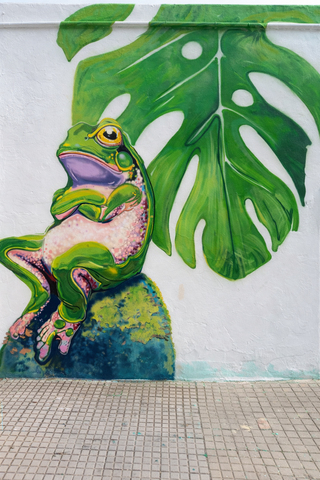 DIBUJO pared PINTOR mural GRAFITI art EMPAPELADO