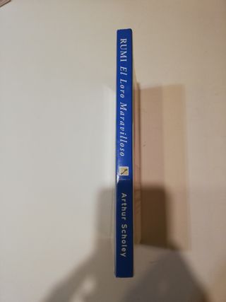 Libro Rumi. El loro maravilloso. Cuentos