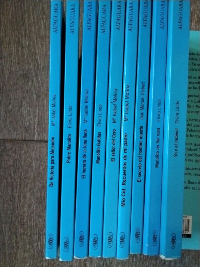 Lote de9 Libros infantiles/juveniles desde 12 años