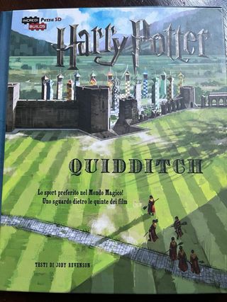 libro puzzle Harry Potter