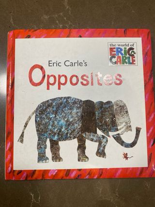 Libro Opposites Ingles