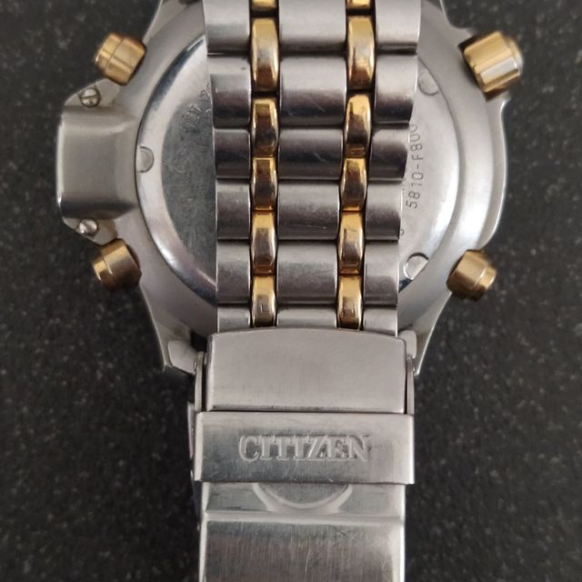 Aqualand Citizen 5810 Promaster Acciaio/oro