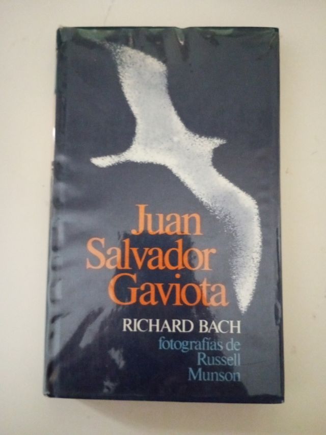 Juan Salvador Gaviota