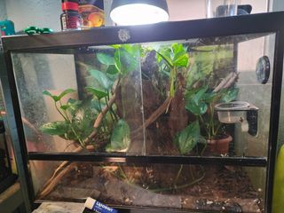 Terrario