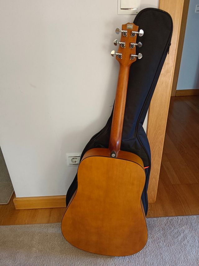 Guitarra Ashton premium acoustic D200V