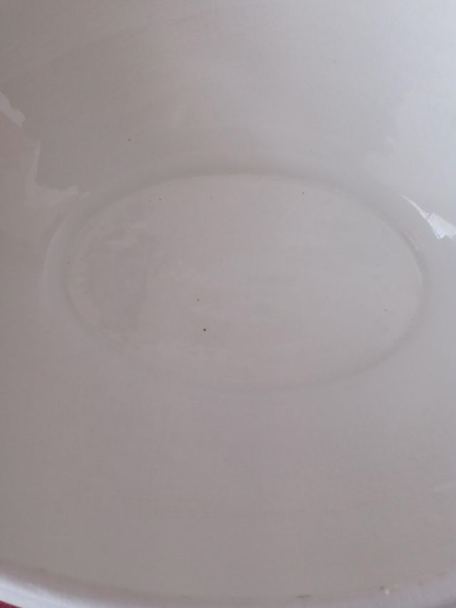 Zuppiera società ceramica italiana Laveno