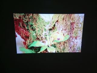 Proyector portátil Full HD 1080p 4K