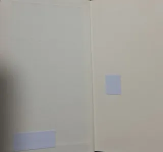 Liberad a Willi! / Todd Strasser ; traducción de M