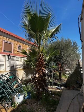 Trabajos de Jardineria