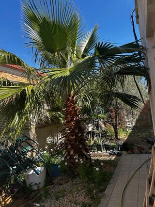 Trabajos de Jardineria