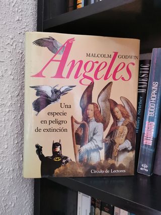 Lote libros. Esoterismo, ovnis...