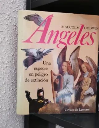 Lote libros. Esoterismo, ovnis...