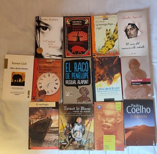 Lote de libros escolares