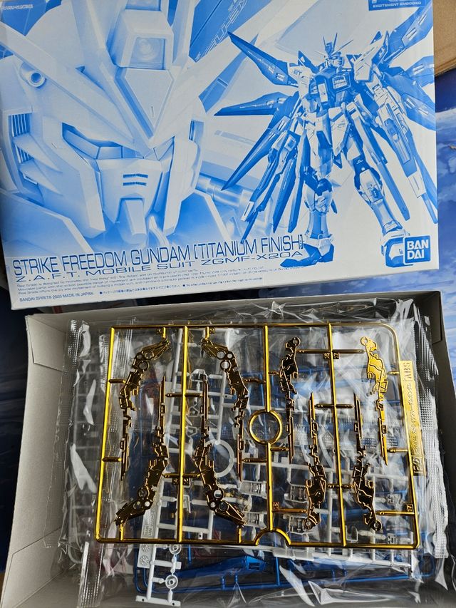 RG Srike Freedom Destiny Gundam Titanium Finish