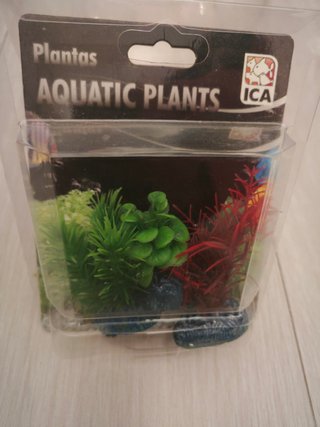 Pecera plástico y plantas.