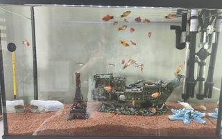 Kit Acuario 75 Litros