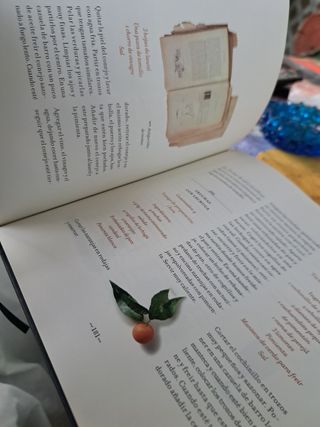Libro de la cocina de la casa de alba