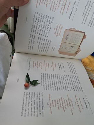 Libro de la cocina de la casa de alba