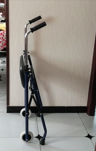 Andador Emérita azul