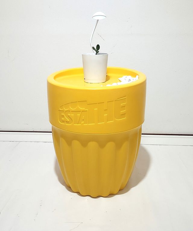 Tavolino contenitore vintage ESTA THE