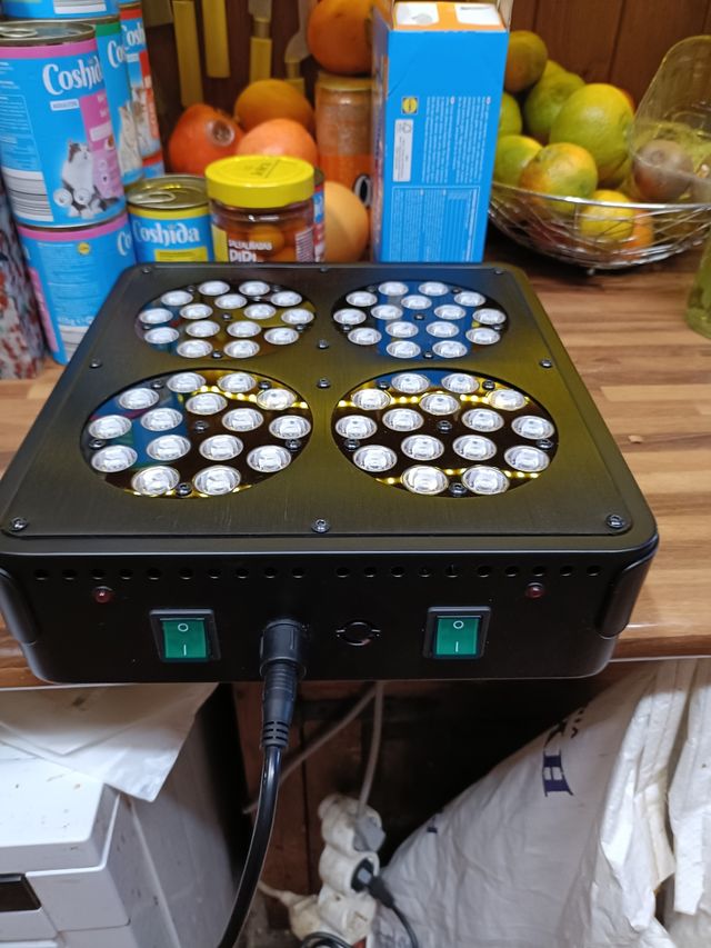 Luz ultravioleta cultivo