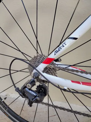 Orbea Avant