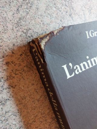 I grandi musicisti Fabbri editori