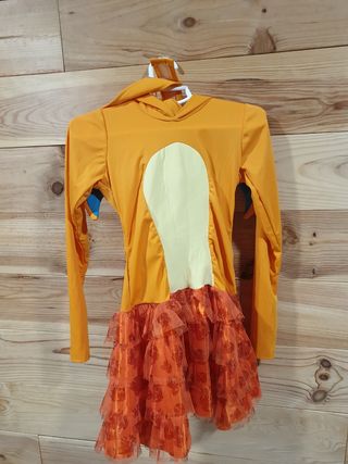 Disfraz de charizard cosplay