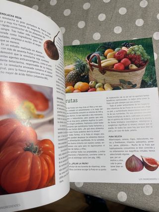 El nuevo libro de la cocina natural