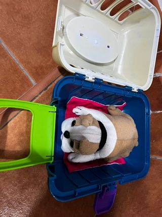 Perrito con su casa de juguete