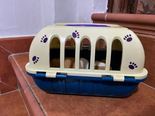 Perrito con su casa de juguete