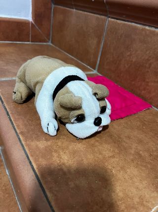 Perrito con su casa de juguete