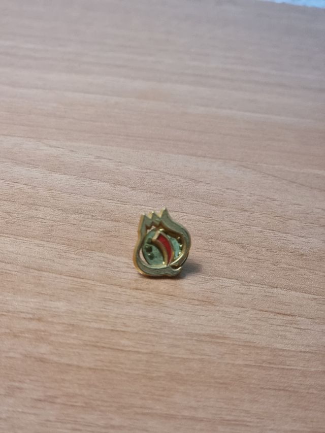 Pin Granada