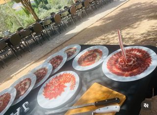 Cortador de Jamon Profesional