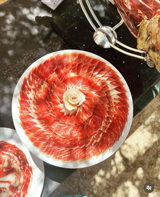 Cortador de Jamon Profesional