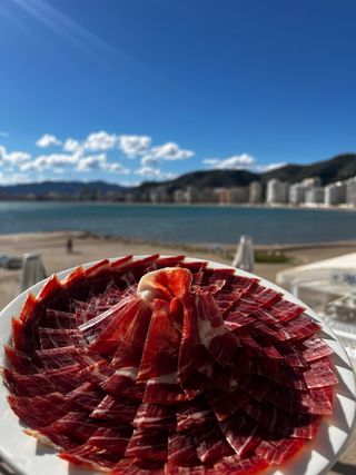 Cortador de Jamon Profesional