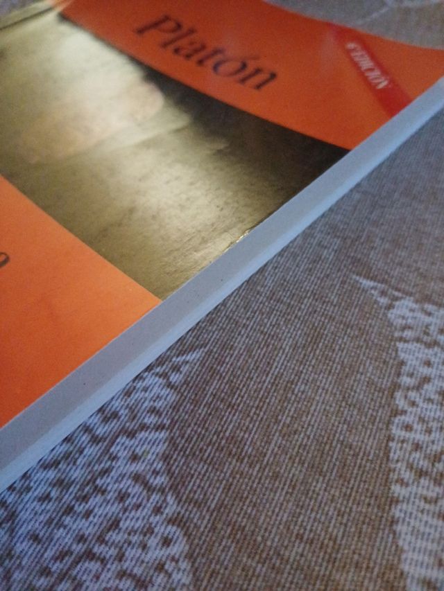 PLATÓN. La República: libro VI (18-21 desde 506b), libro VII (1-5 hasta 521b) (HISTORIA DE LA FILOSOFÍA) (Spanish Edition)