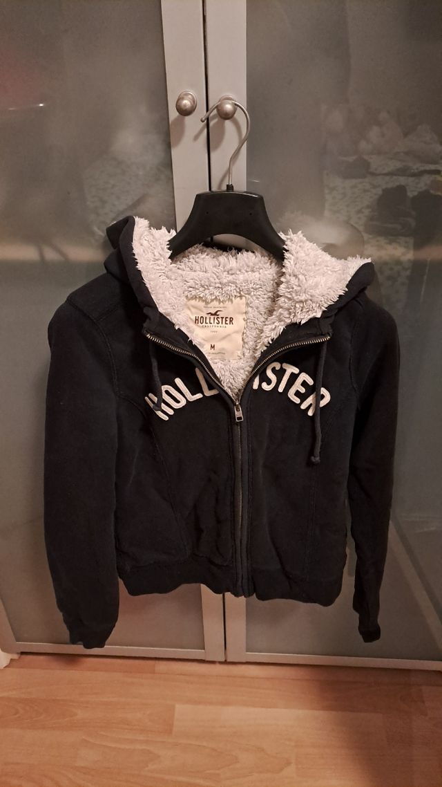 Felpa hollister invernale