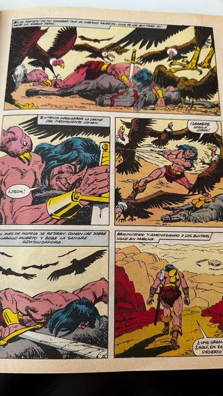 Comic Conan el Barbaro #160 1990