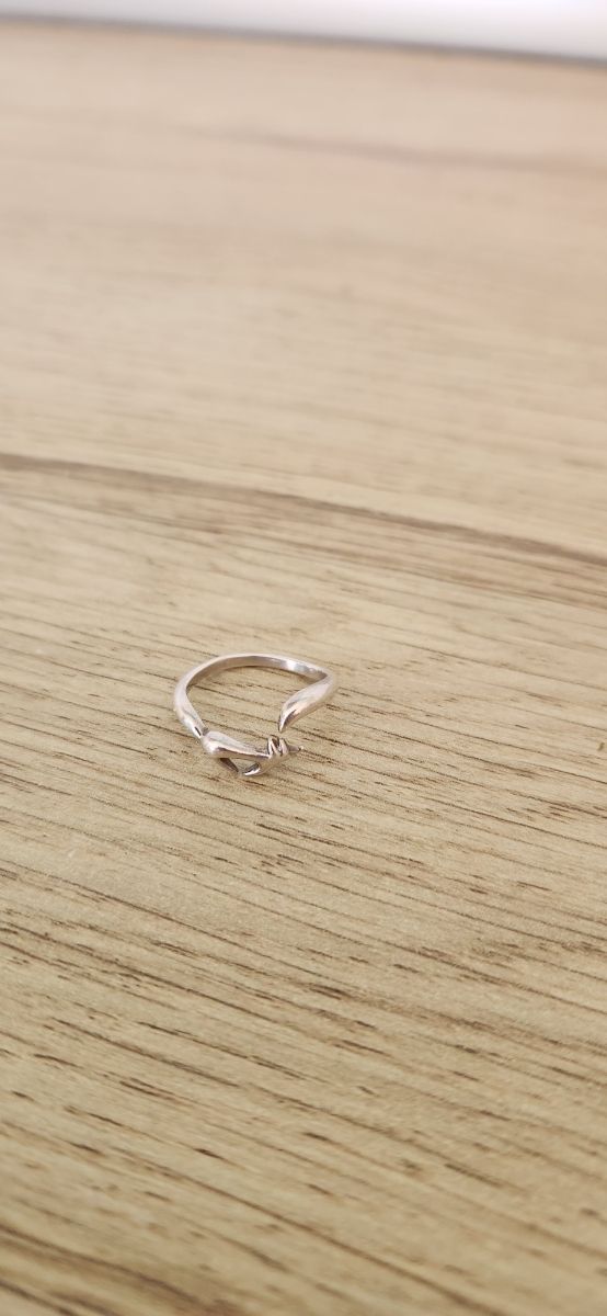 Anillo de plata regulable