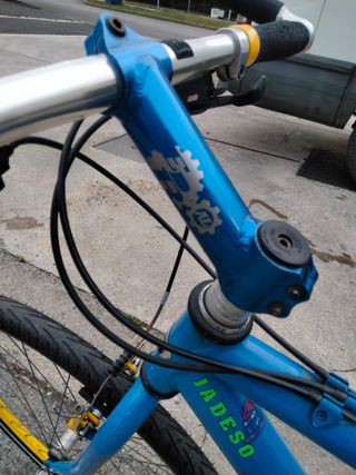 Bicicleta de montaña