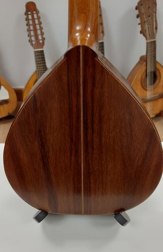 Bandurria Vicente Pérez Checa