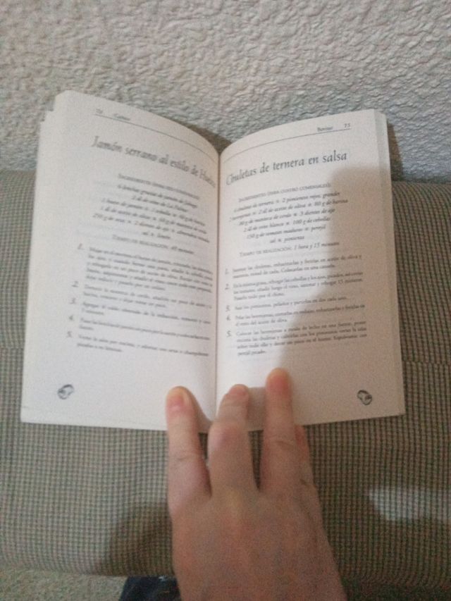 100 RECETAS CON ACEITE DE OLIVA