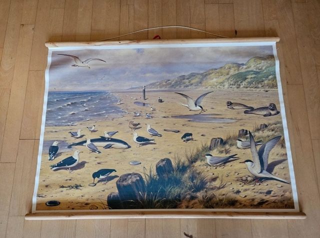 Mural escolar naturaleza nordica playa