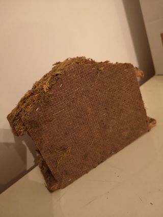 Capanna presepe belèn