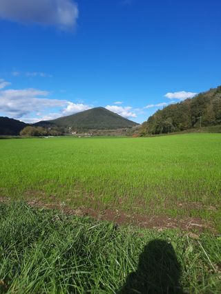 Se precisa Paleta