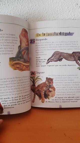 Lee cada día 365 historias de animales